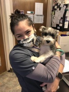 Staff with puppy